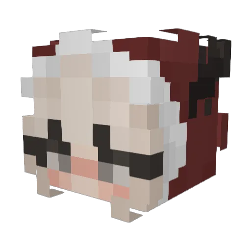 NinjaBabyTyTy Minecraft avatar head, 3D render