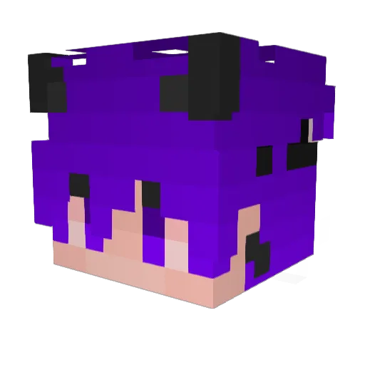 NinjaBlaze5033 Minecraft avatar head, 3D render