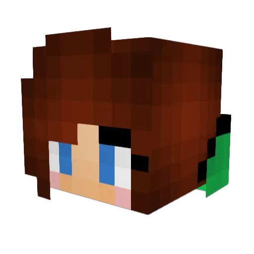 NinjaBoogers Minecraft avatar head, 3D render