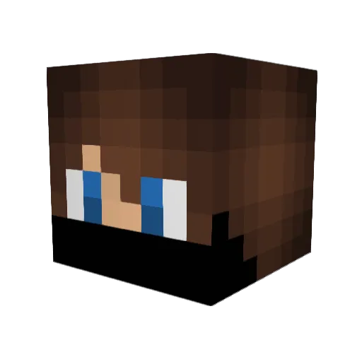 NinjaBoyTNT Minecraft avatar head, 3D render