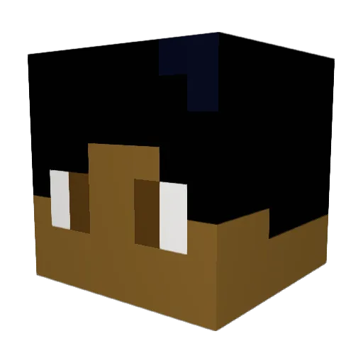 NinjaBrain4 Minecraft avatar head, 3D render
