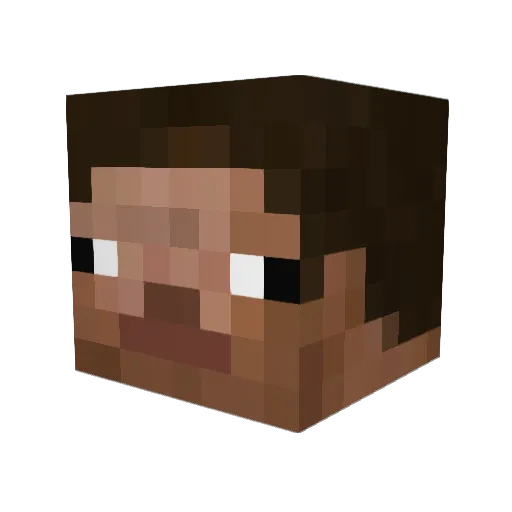 NinjaC0w99 Minecraft avatar head, 3D render