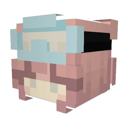 NinjaCharlie Minecraft avatar head, 3D render