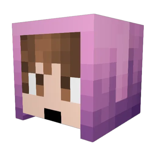 NinjaCow999 Minecraft avatar head, 3D render