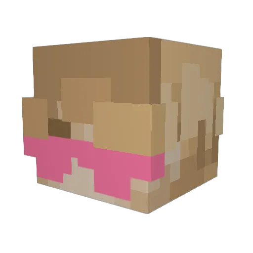 NinjaCreeper5000 Minecraft avatar head, 3D render