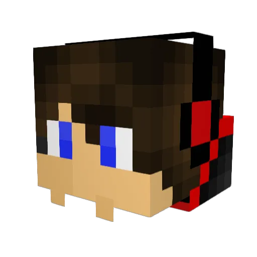NinjaDudeSV Minecraft avatar head, 3D render