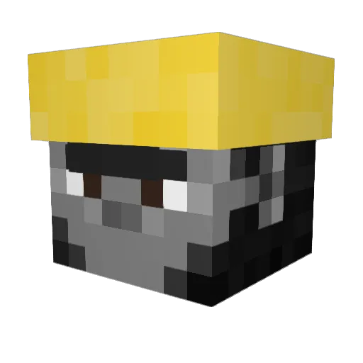 NinjaFamily559 Minecraft avatar head, 3D render