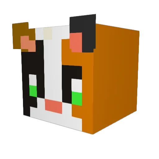 NinjaFrankieGun Minecraft avatar head, 3D render