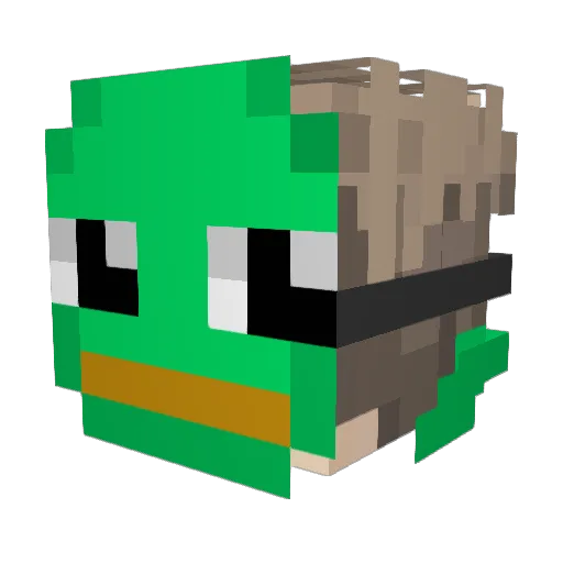 NinjaFrogi Minecraft avatar head, 3D render