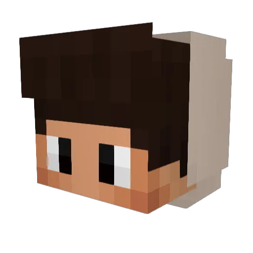 NinjaGamer558899 Minecraft avatar head, 3D render