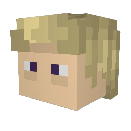 NinjaGamer6561 Minecraft avatar head, 3D render