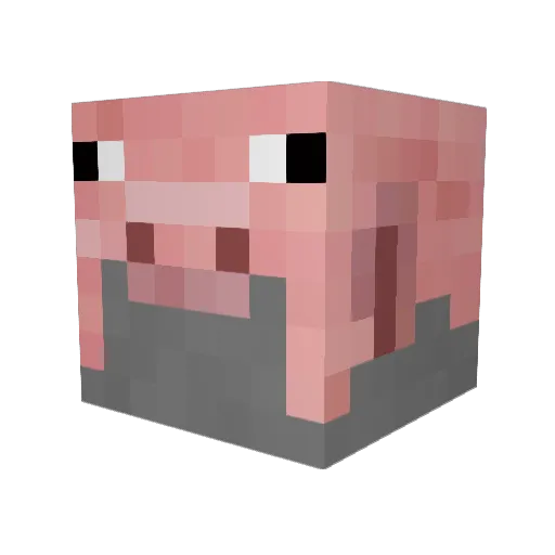 NinjaGamerI Minecraft avatar head, 3D render