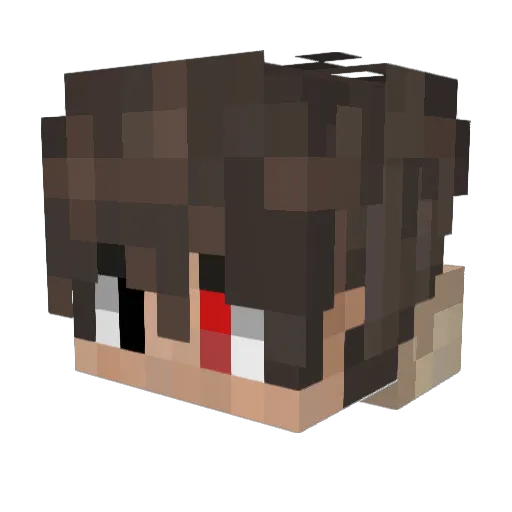 NinjaGamer_ Minecraft avatar head, 3D render