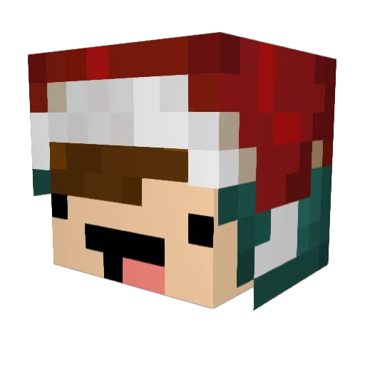 NinjaGeneralMan Minecraft avatar head, 3D render