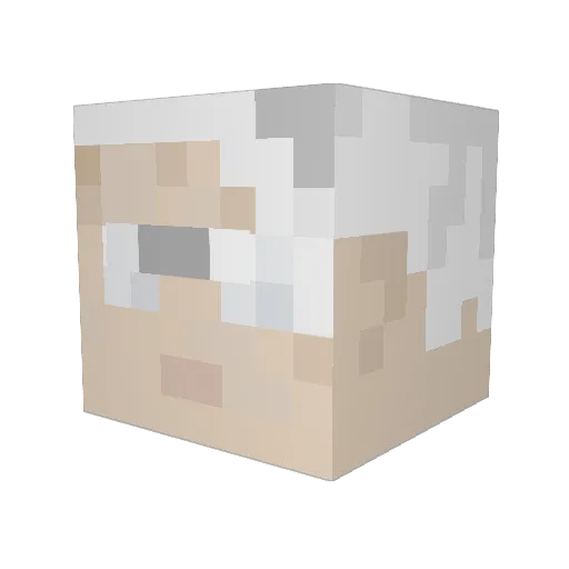 NinjaGhost160 Minecraft avatar head, 3D render