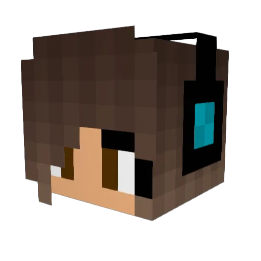 NinjaGirl2400 Minecraft avatar head, 3D render