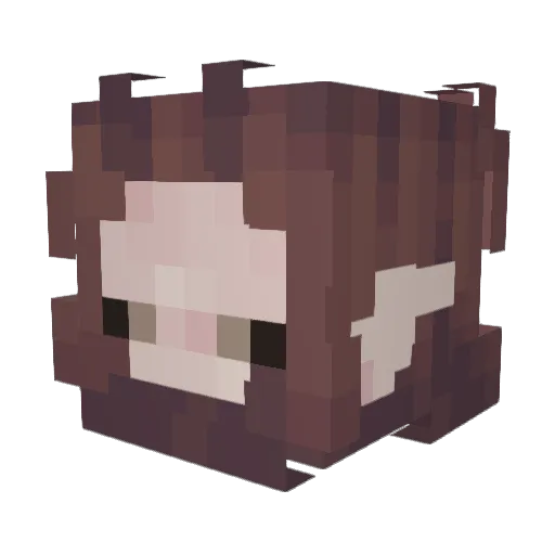NinjaGopher Minecraft avatar head, 3D render