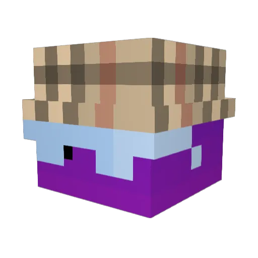 NinjaHypersul Minecraft avatar head, 3D render