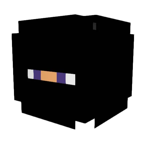 NinjaInUrPC Minecraft avatar head, 3D render