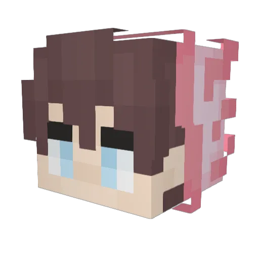 NinjaIsLegend Minecraft avatar head, 3D render