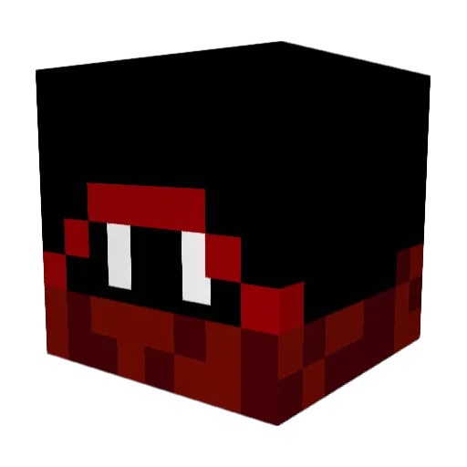 NinjaJake2010 Minecraft avatar head, 3D render