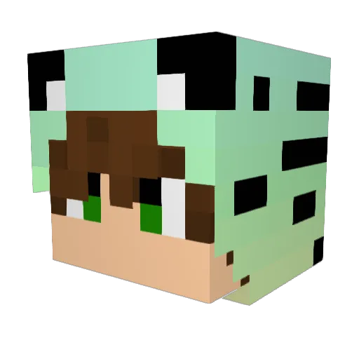 NinjaKaidesu Minecraft avatar head, 3D render