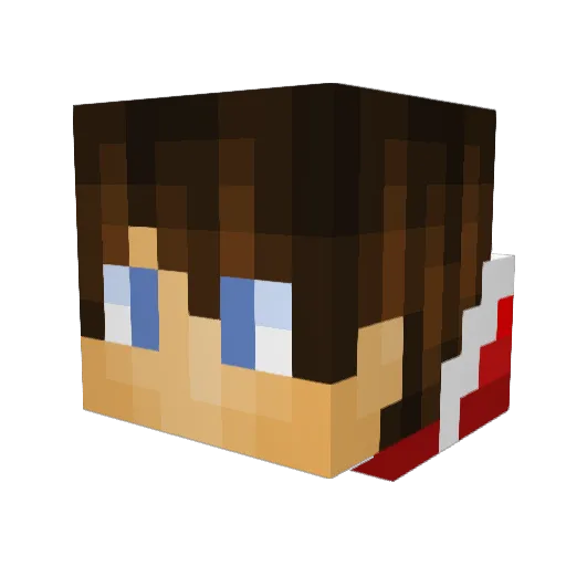 NinjaKid0208 Minecraft avatar head, 3D render