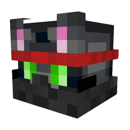 NinjaKitty65500 Minecraft avatar head, 3D render