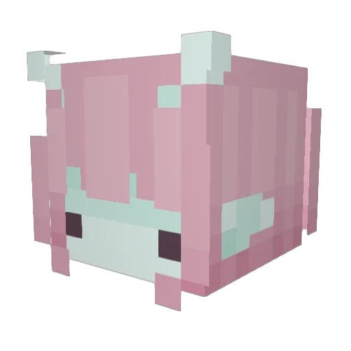 NinjaKittyyy Minecraft avatar head, 3D render