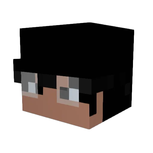 NinjaLink_ Minecraft avatar head, 3D render