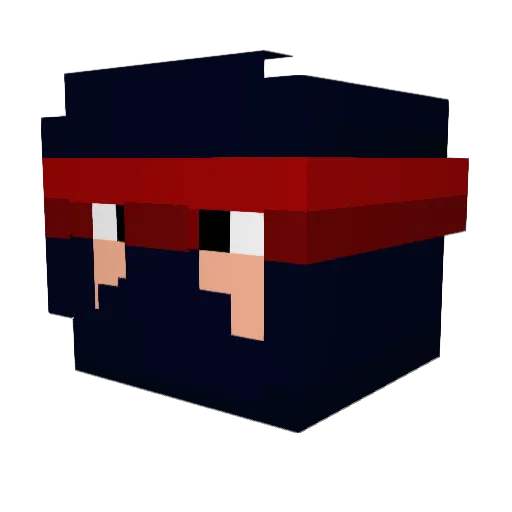 NinjaMaster1023 Minecraft avatar head, 3D render