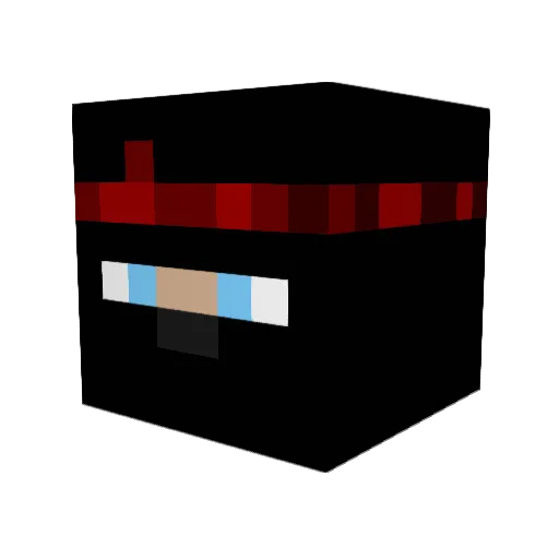NinjaMaster44 Minecraft avatar head, 3D render