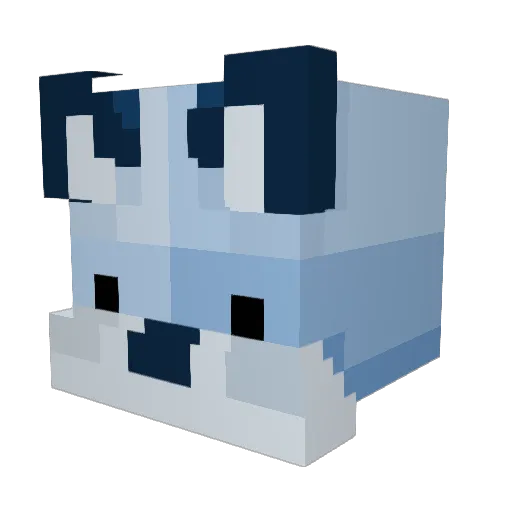 NinjaMonkey12321 Minecraft avatar head, 3D render