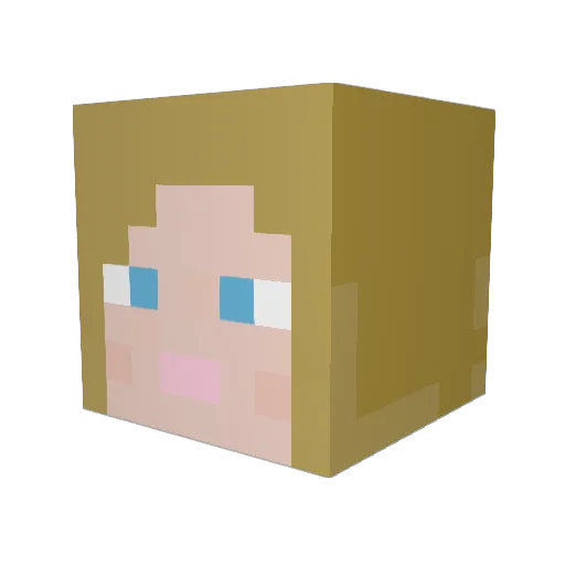 NinjaMonkey2012 Minecraft avatar head, 3D render
