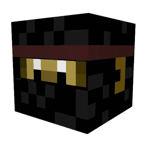 NinjaMonkey220 Minecraft avatar head, 3D render