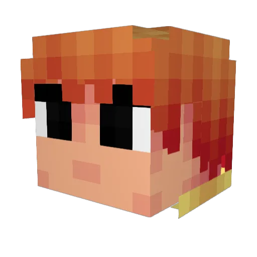 NinjaMonkey9999 Minecraft avatar head, 3D render
