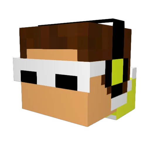 NinjaNicholas24 Minecraft avatar head, 3D render