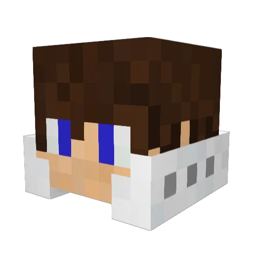 NinjaNoob9091 Minecraft avatar head, 3D render