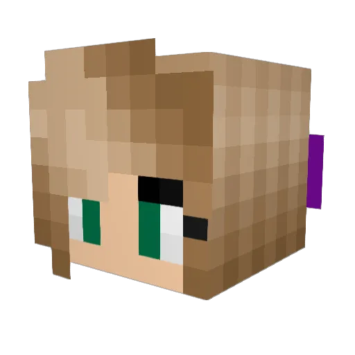 NinjaNoodles12 Minecraft avatar head, 3D render