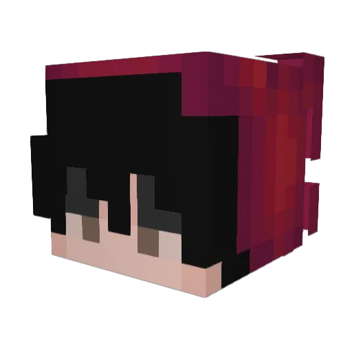 NinjaNugget50 Minecraft avatar head, 3D render