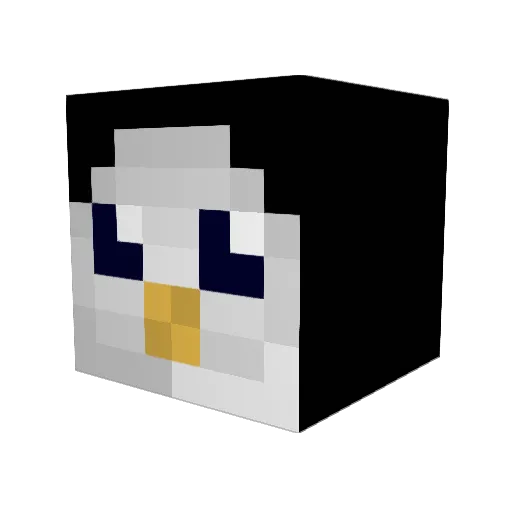 NinjaP3nguinxD Minecraft avatar head, 3D render