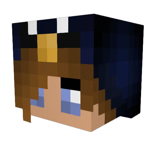 NinjaPenguin8190 Minecraft avatar head, 3D render