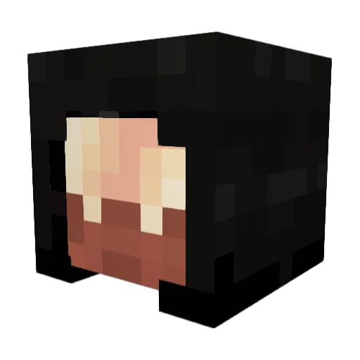 NinjaPigz355 Minecraft avatar head, 3D render