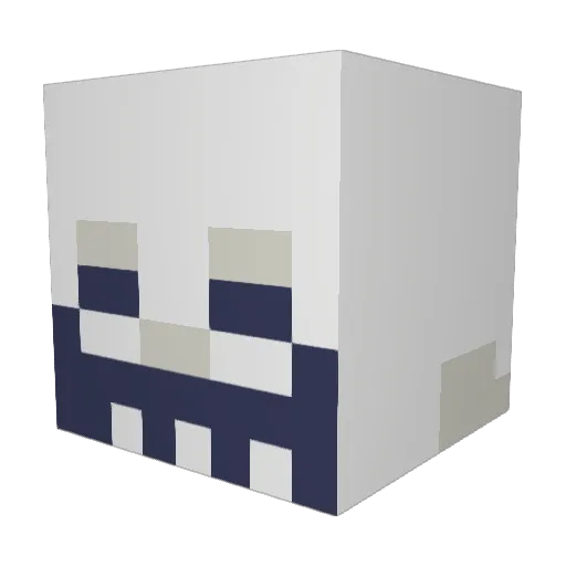 NinjaPirate08 Minecraft avatar head, 3D render