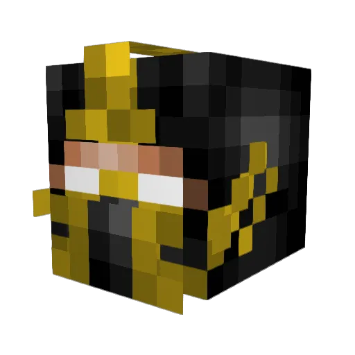 NinjaPro2002 Minecraft avatar head, 3D render