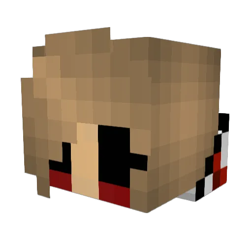 NinjaPvP123 Minecraft avatar head, 3D render