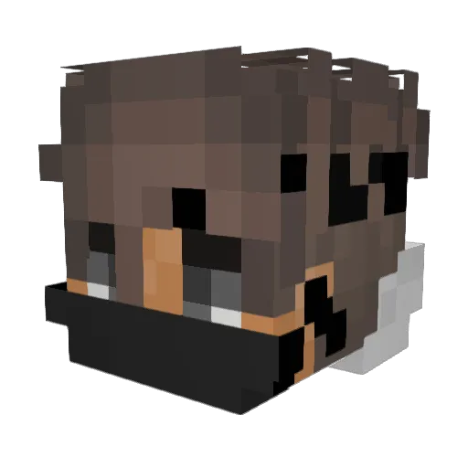 NinjaRaiderPvP Minecraft avatar head, 3D render