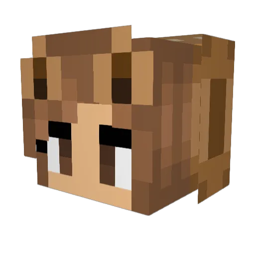 NinjaRain2005 Minecraft avatar head, 3D render
