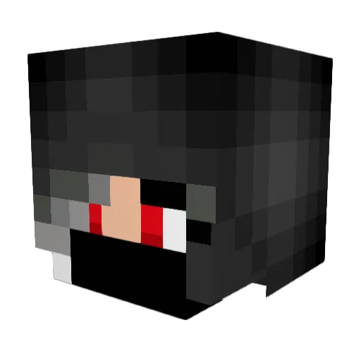 NinjaRohcoh Minecraft avatar head, 3D render