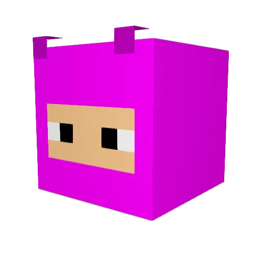 NinjaRoza Minecraft avatar head, 3D render